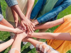 economia solidaria