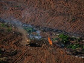 Clima fora de controle ameaça futuro de Mato Grosso, alerta pesquisadora