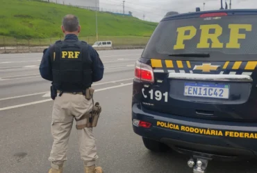 Mais de 150kg de skunk são apreendidos em operação na BR-364