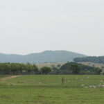 Famato alerta para o prazo de entrega da Declaração do Imposto sobre a Propriedade Territorial Rural