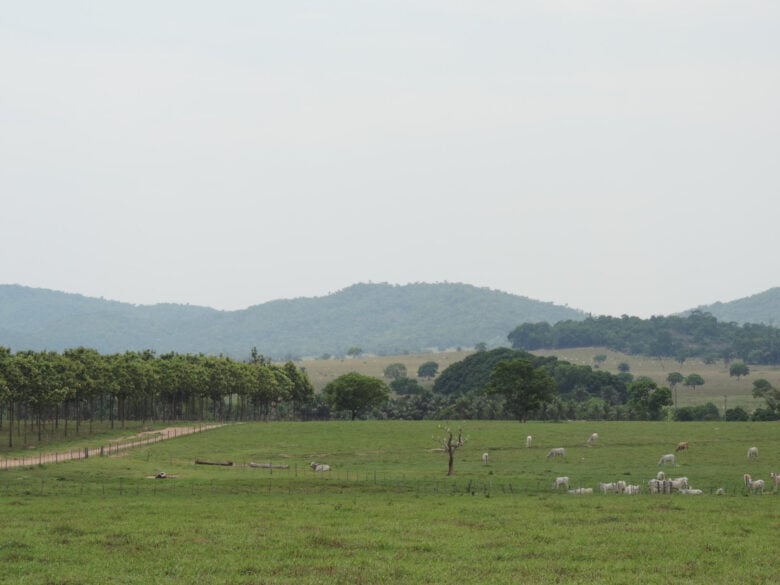propriedade rural pasto