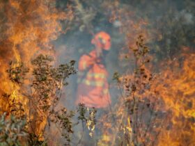 Mato Grosso lidera focos de calor em 2025 apesar de queda nas queimadas
