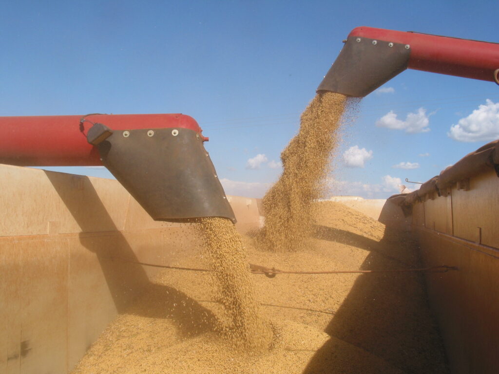 CADE suspende efeitos da Moratória da Soja após pedido da CNA; Famato ressalta relevância da decisão para produtores de MT