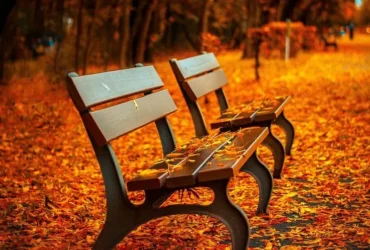 solitario