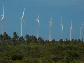 Inscrições abertas para Olimpíada de Eficiência Energética 2025