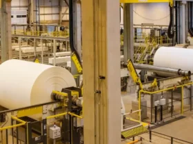 EUA retiram tarifas sobre exportações brasileiras de celulose e ferro-níquel