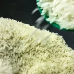 Conab destina R$ 300 milhões para produtores de arroz na safra 2025/26