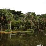 Fotografia ganha destaque em concurso do Dia Mundial da Limpeza