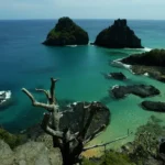 Redes sociais lideram pesquisa de informações de viagem entre brasileiros
