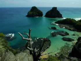 Redes sociais lideram pesquisa de informações de viagem entre brasileiros