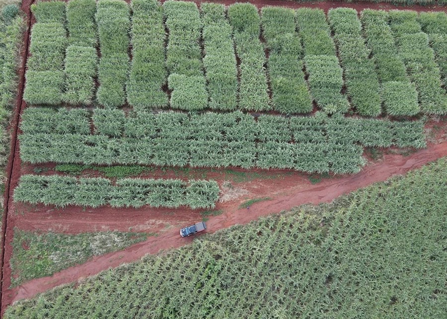 Modelo prevê produtividade agrícola com uso de imagens de satélite 83 250909 ProdutividadeAgricolaSatelite Geraldo Magela imagem area
