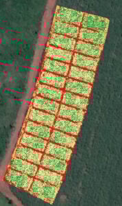 Modelo prevê produtividade agrícola com uso de imagens de satélite 84 250909 ProdutividadeAgricolaSatelite Geraldo Magela imagem vertical
