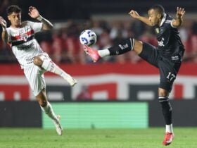 Botafogo x Mirassol: onde assistir, escalações e tudo sobre o duelo inédito no Brasileirão 2025. Imagem: Vitor Silva/BFR