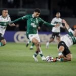 Goiás x Paysandu: onde assistir ao vivo, escalações e detalhes da Série B. Imagem: Divulgação Goiás