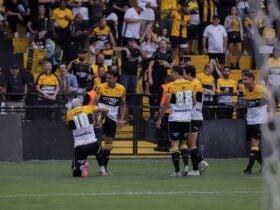 Criciúma x Paysandu: duelo de extremos na Série B promete emoções neste domingo. Imagem: Celso da Luz/CEC