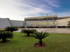 Comunidade quilombola conquista liminar contra Suzano no STJ
