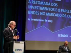 Mercado de capitais deve ser democratizado, defende Mercadante