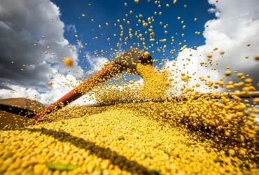 Valor da produção agrícola recua 3,9% em 2024 devido a clima e preços internacionais