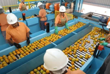 Tarifaço reduz exportações brasileiras em 22% em agosto