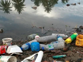 Fiocruz alerta para contaminação por plásticos na Amazônia