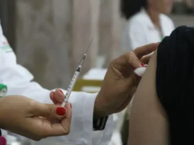 Vacina reduz riscos da covid em gestantes e protege bebês