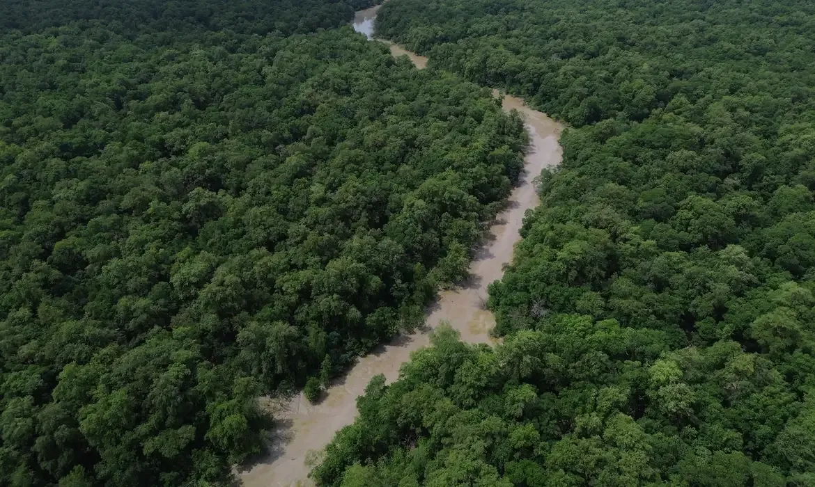 Dia da Amazônia mobiliza sociedade civil para a COP30 em Belém