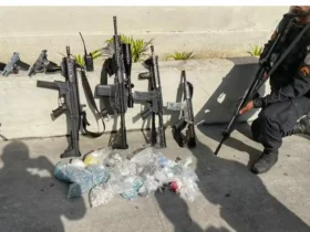 Fuzis apreendidos pela polícia do Rio já somam 500 em 2025
