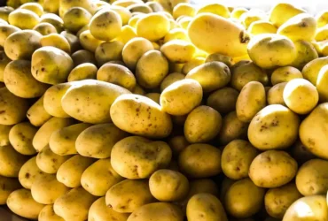 Batata, ovos e verduras aliviam inflação em São Paulo em agosto
