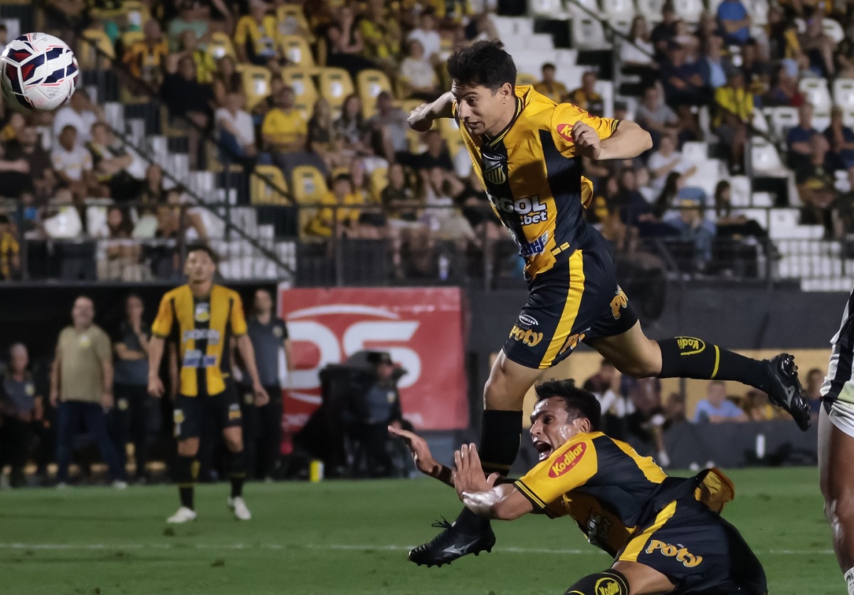 Paysandu x Novorizontino: Onde assistir ao vivo, escalações e tudo sobre o jogo da Série B. Imagem: @basso.photo Novorizontino Paysandu x Novorizontino: Onde assistir ao vivo, escalações e tudo sobre o jogo da Série B. Imagem: @basso.photo Novorizontino