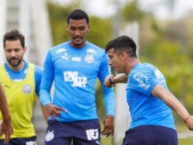 Bahia x Palmeiras: Onde assistir, escalações e tudo sobre o jogo do Brasileirão 2025. Imagem: @therafao
