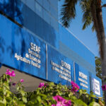 Resultado preliminar do Fundaaf movimenta R$ 20,4 milhões em Mato Grosso