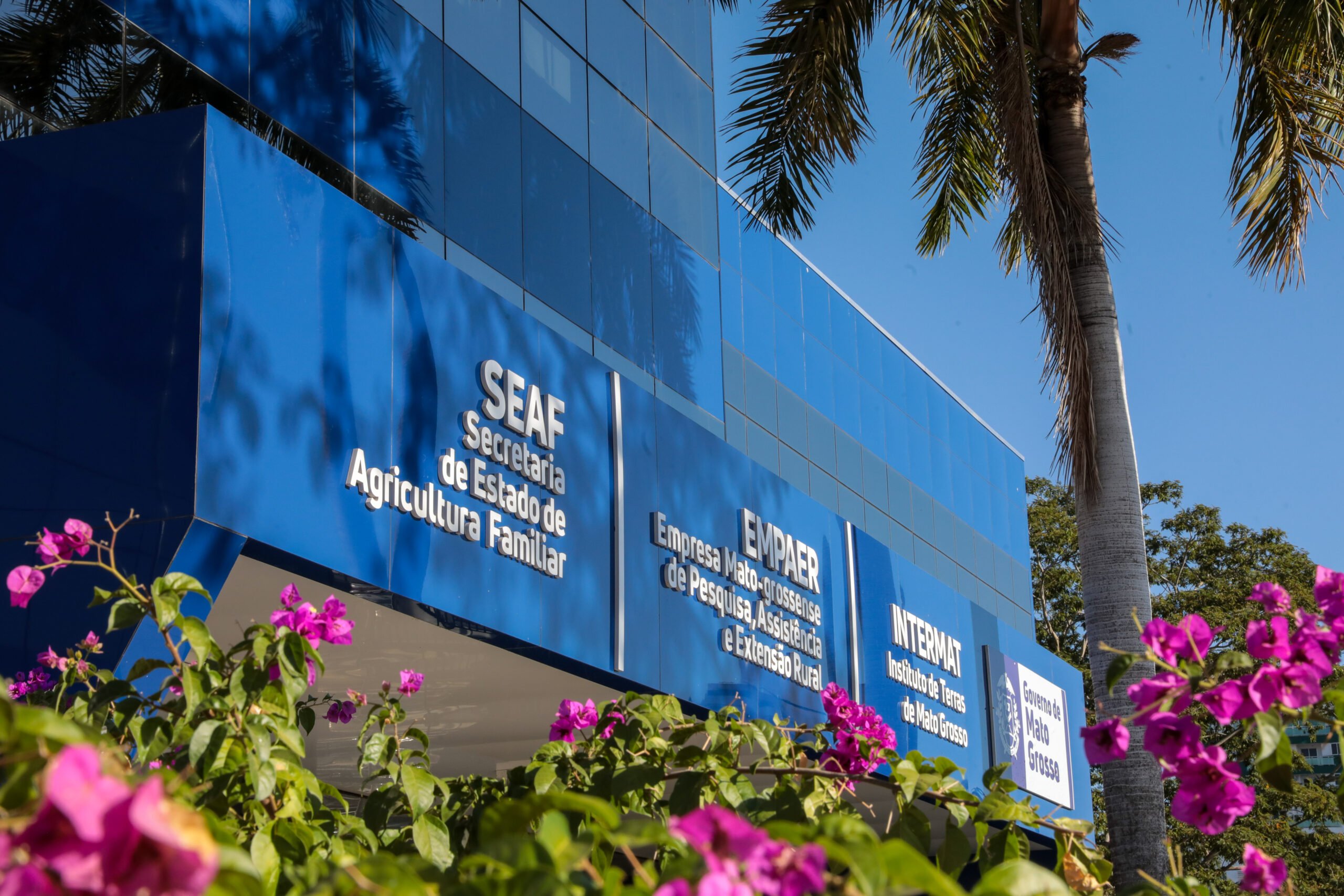 Resultado preliminar do Fundaaf movimenta R$ 20,4 milhões em Mato Grosso