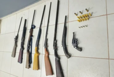 Polícia Ambiental prende homem com arsenal de armas e carne de animal silvestre em Colniza
