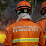 Corpo de Bombeiros Combate 34 Incêndios Florestais em Mato Grosso