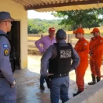 Queimada irregular em Mato Grosso resulta em prisão em flagrante