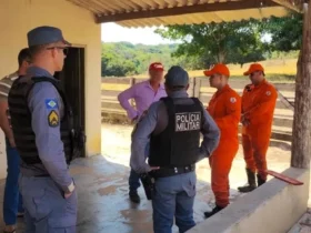 Queimada irregular em Mato Grosso resulta em prisão em flagrante