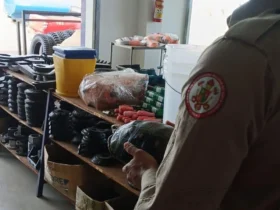 Bombeiros resgatam jabuti em loja de equipamentos agrícolas em Mato Grosso