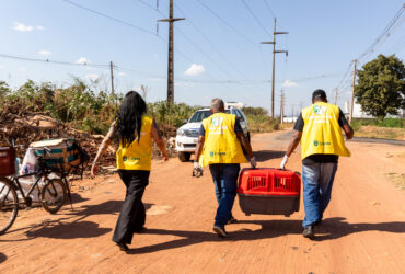 Caes abandonados em matagal sao resgatados pela Bem Estar Animal de Cuiaba