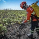 Bombeiros combatem 30 incêndios florestais em Mato Grosso neste domingo