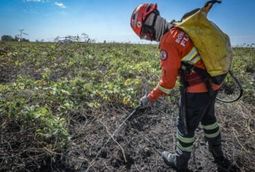 Bombeiros combatem 30 incêndios florestais em Mato Grosso neste domingo