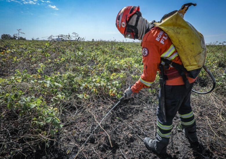 Bombeiros combatem 30 incêndios florestais em Mato Grosso neste domingo