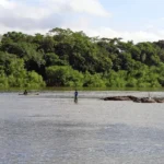 Cultura ribeirinha é celebrada na Festa do Pari em Cuiabá