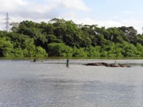 Cultura ribeirinha é celebrada na Festa do Pari em Cuiabá