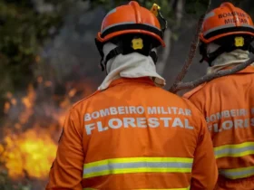 Incêndios florestais mobilizam combate em Chapada dos Guimarães e cidades de Mato Grosso
