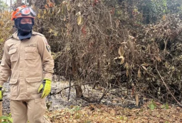 Corpo de Bombeiros de Mato Grosso controla incêndio causado por queima de lixo