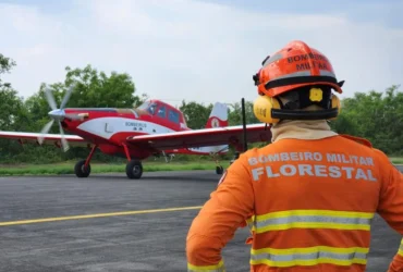 Incêndios florestais em Mato Grosso mobilizam bombeiros em 35 ocorrências