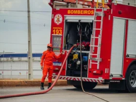 Incêndio em caminhão mobiliza bombeiros na MT-449 em Mato Grosso