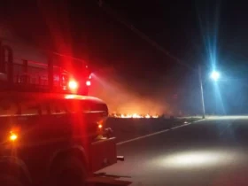 Incêndio em vegetação mobiliza bombeiros em Primavera do Leste