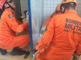 Corpo de Bombeiros resgata criança presa em banheiro de escola em Mato Grosso