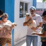 Dia D antirrabica em Rondonopolis imuniza quase 16 mil animais e supera expectativas